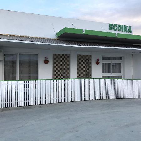 Pensiunea Scoika Steaguri נפטון מראה חיצוני תמונה