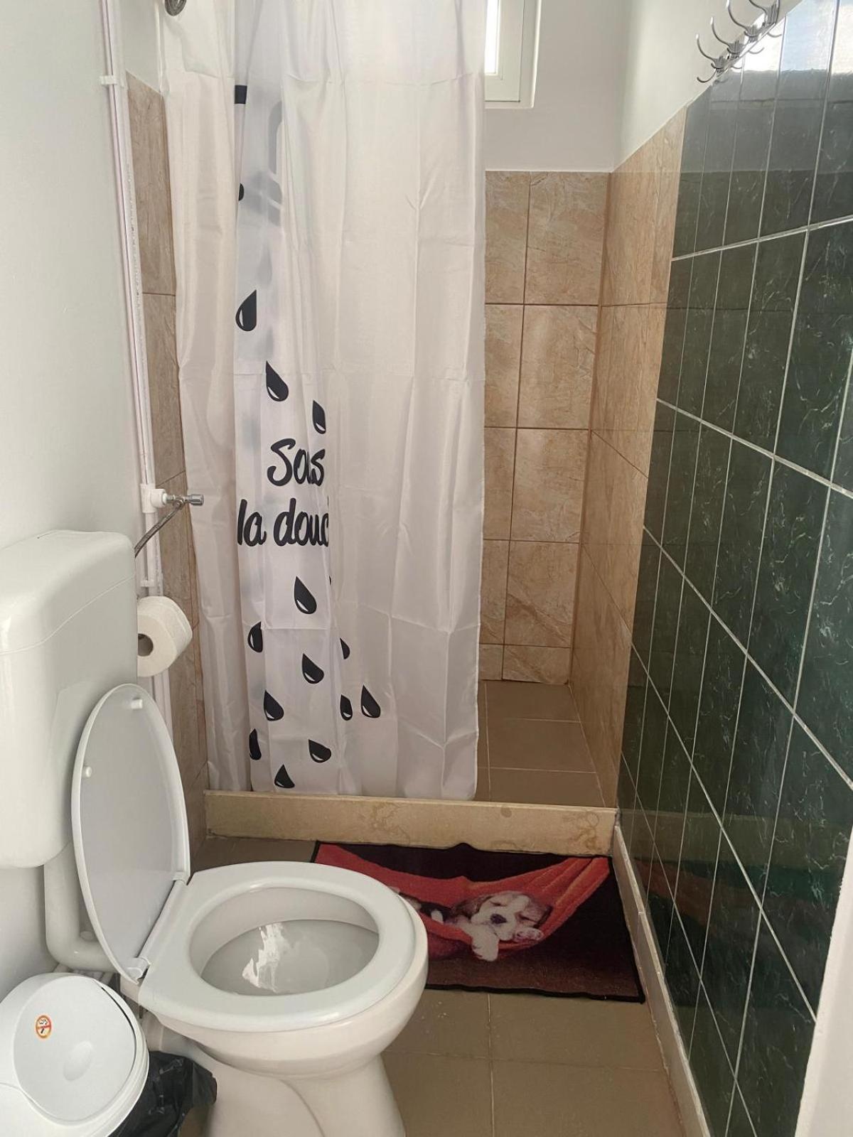 Pensiunea Scoika Steaguri נפטון מראה חיצוני תמונה